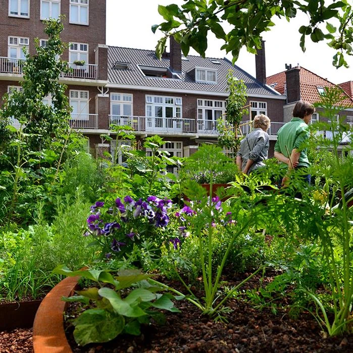 CT4.2 4 CT4.2 - Image 4