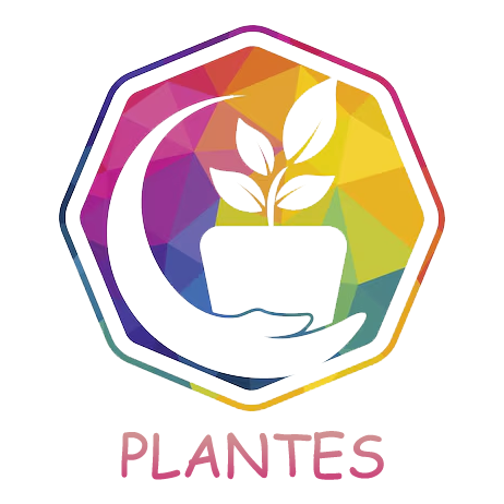 ADEZZ Garden Style Store