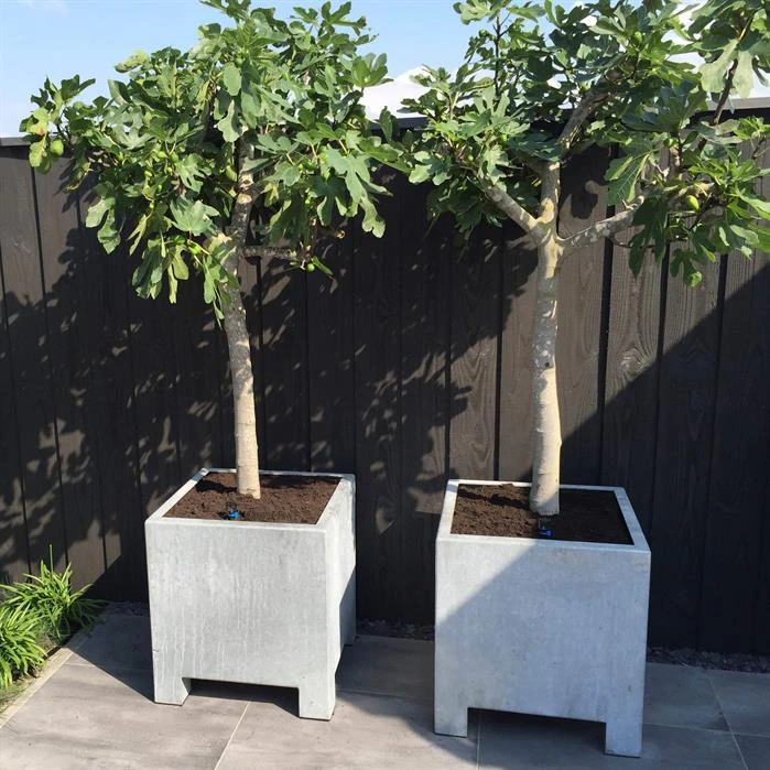 VS22.2 (op=op) 5 VS22.2 (op=op) - Image 5