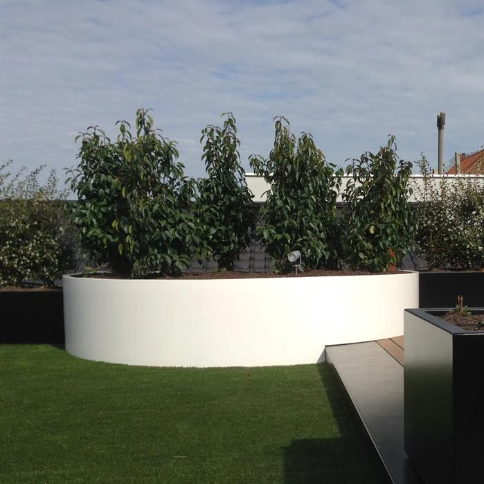 AEL6 4 AEL6 - Image 4