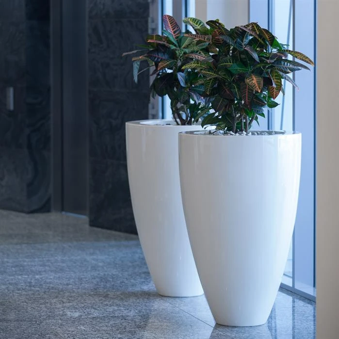 PCH3 5 PCH3 - Image 5