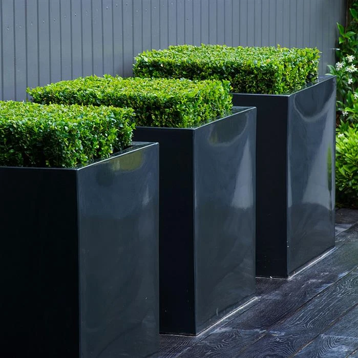 PBH10.1 3 PBH10.1 - Image 3