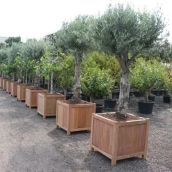 HR4 -ADEZZ Garden Style Store ADEZZ20hardwood20planter208 7