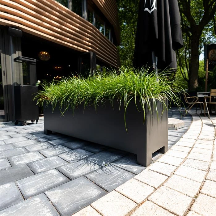 AFP5.2 2 AFP5.2 - Image 2