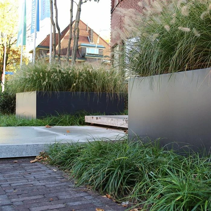 AFW3.1 2 AFW3.1 - Image 2