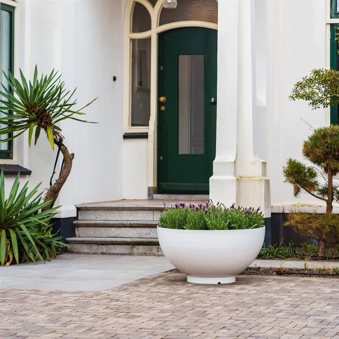 BOA2 2 BOA2 - Image 2