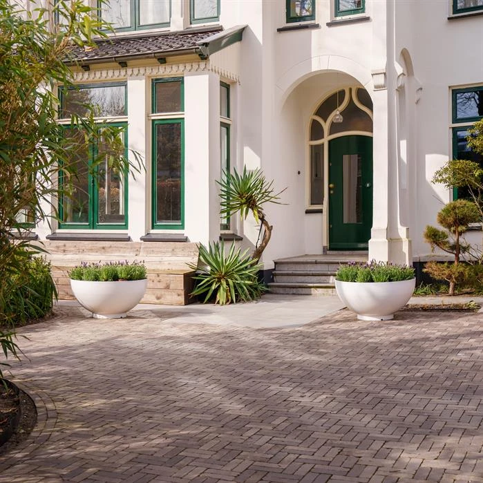 BOA2 3 BOA2 - Image 3