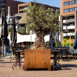 CAP4.2 -ADEZZ Garden Style Store ADEZZ Planters20Corten CAP 004