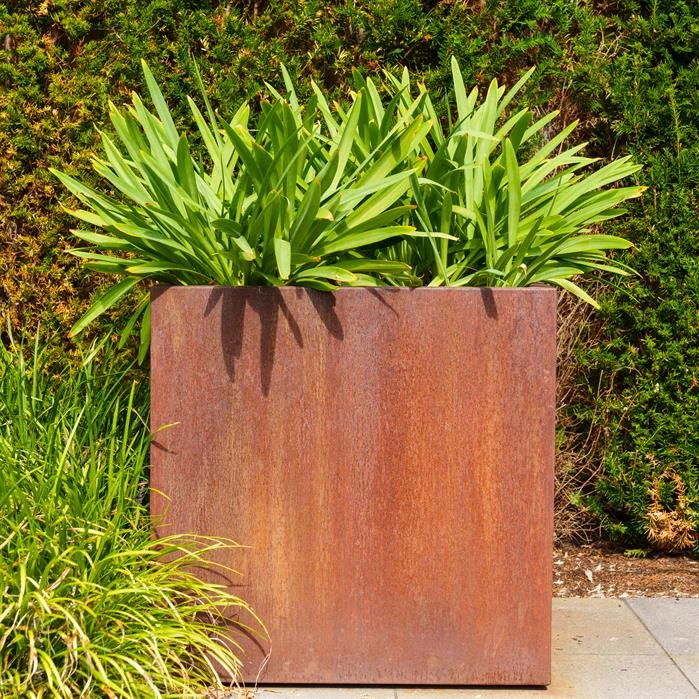 CA25.2 5 CA25.2 - Image 5