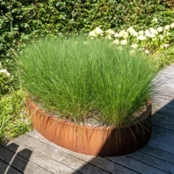 CEL3 -ADEZZ Garden Style Store ADEZZ Planters20Corten CEL 005