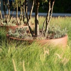 CTW1.3 -ADEZZ Garden Style Store ADEZZ Planters20Corten CT 00820ERP 3