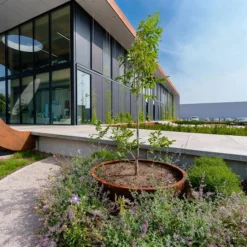 CTW1.2 -ADEZZ Garden Style Store ADEZZ Planters20Corten CT 01720ERP 6