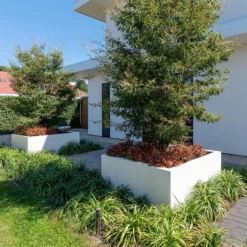 PB23.2 -ADEZZ Garden Style Store ADEZZ Planters20Fibreglass PB 06220ERP 11