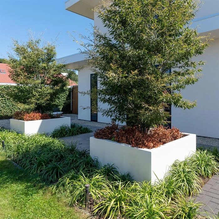 PB24.2 3 PB24.2 - Image 3