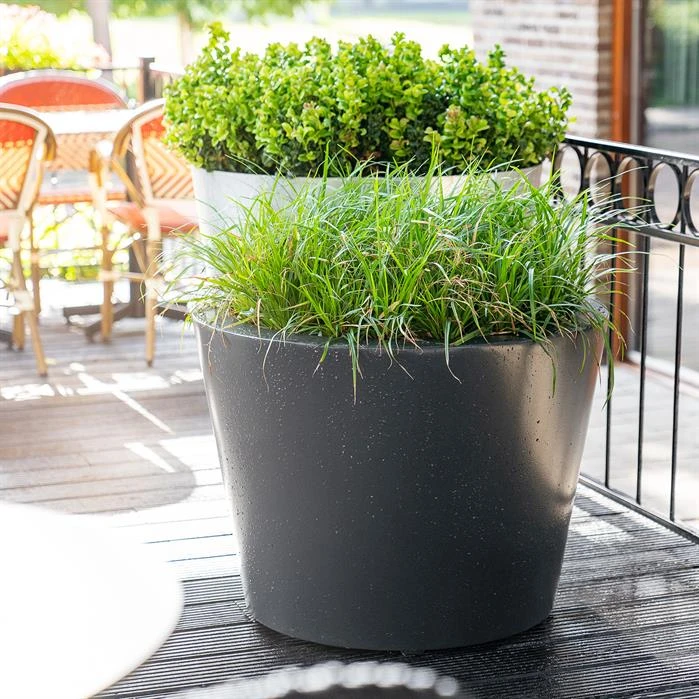 AC8.1 2 AC8.1 - Image 2