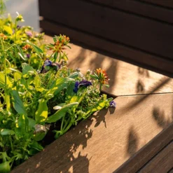 BB24.1 6 BB24.1 -ADEZZ Garden Style Store BB Bandu202 2