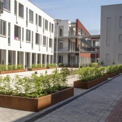 CRS3.600.1500 Straight -ADEZZ Garden Style Store Ct20straight202 12