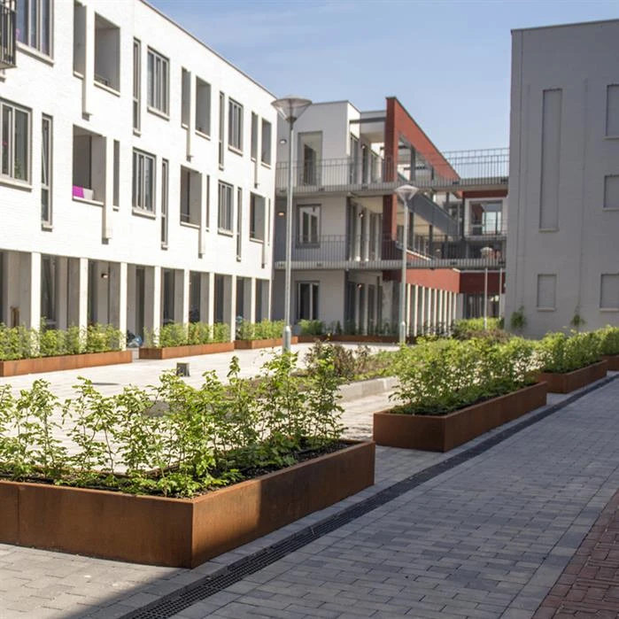 CRS2.300.2000 Straight (10pcs) 4 CRS2.300.2000 Straight (10pcs) - Image 4