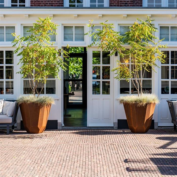 CFT5 4 CFT5 - Image 4