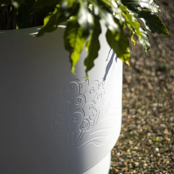 MOA2 (op=op) 3 MOA2 (op=op) - Image 3