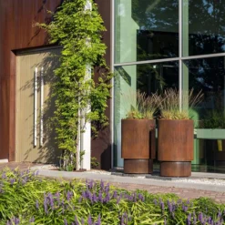 CXT4 8 CXT4 -ADEZZ Garden Style Store DZ53624