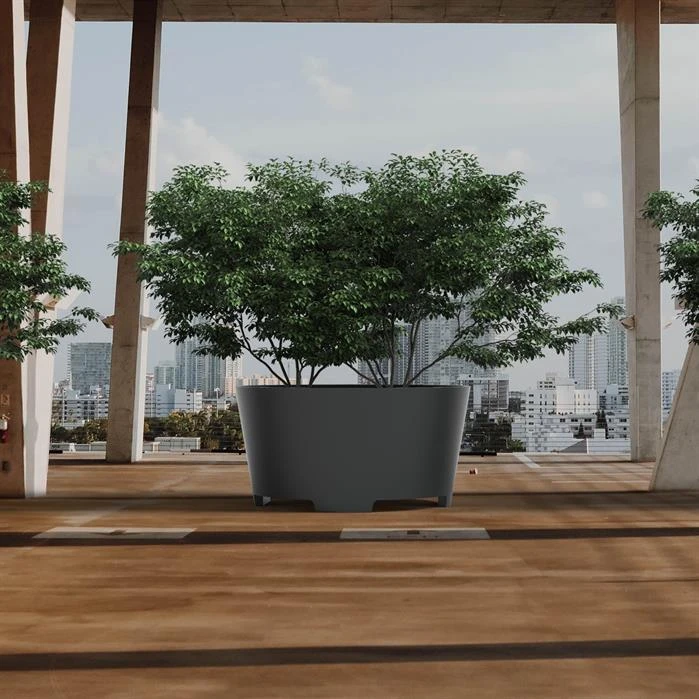 ACP5.1 2 ACP5.1 - Image 2