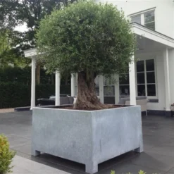 VS8 (op=op) -ADEZZ Garden Style Store Meeuwis20de20Vries20Tuinen20verzinkt20staal20 20kopie 1