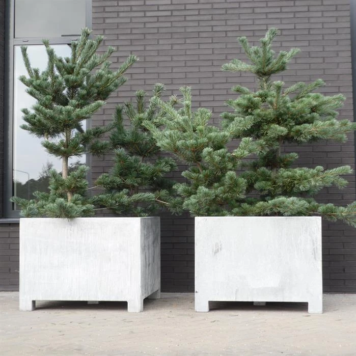 VS22.2 (op=op) 2 VS22.2 (op=op) - Image 2